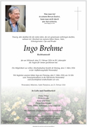 Ingo Brehme